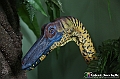 VBS_0996 - Dinosauri. Terra dei giganti